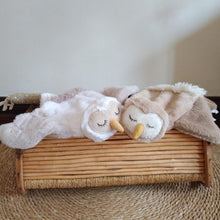 Load image into Gallery viewer, Snuggle-Hoo (Owl taglet / lovie)