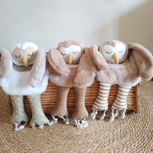 Load image into Gallery viewer, Snuggle-Hoo (Owl taglet / lovie)