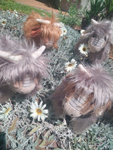 Load image into Gallery viewer, Highland cow plushies standing together 
