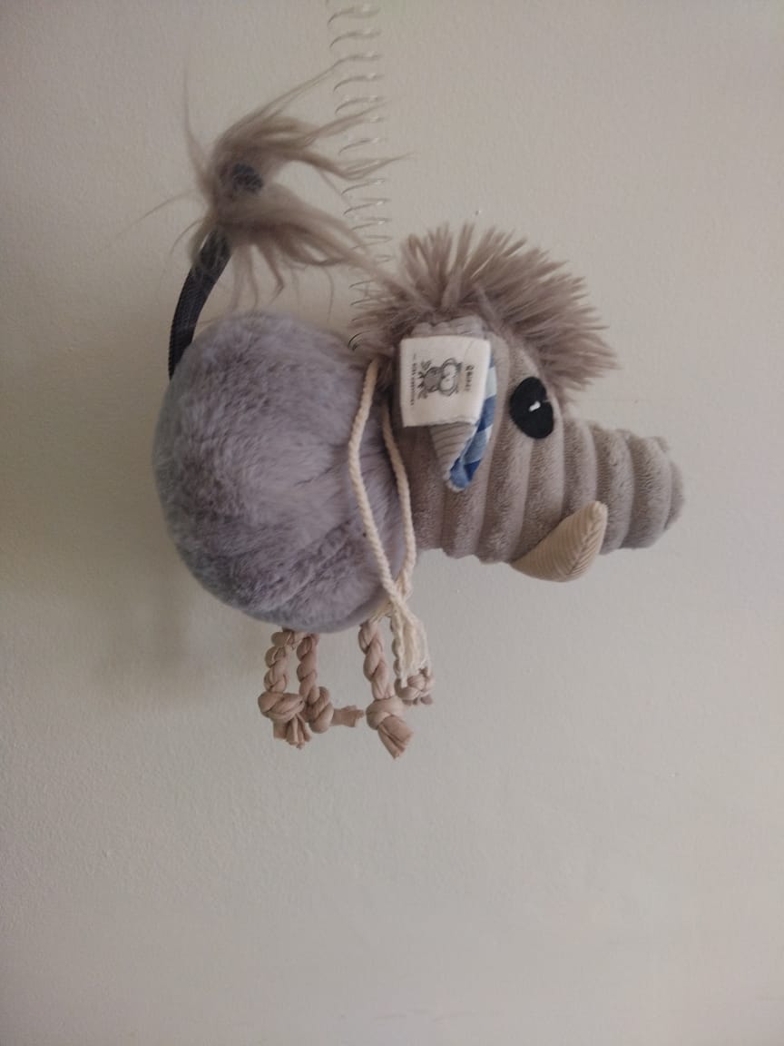 Jiggly Joe spring Vlakkie (Warthog)