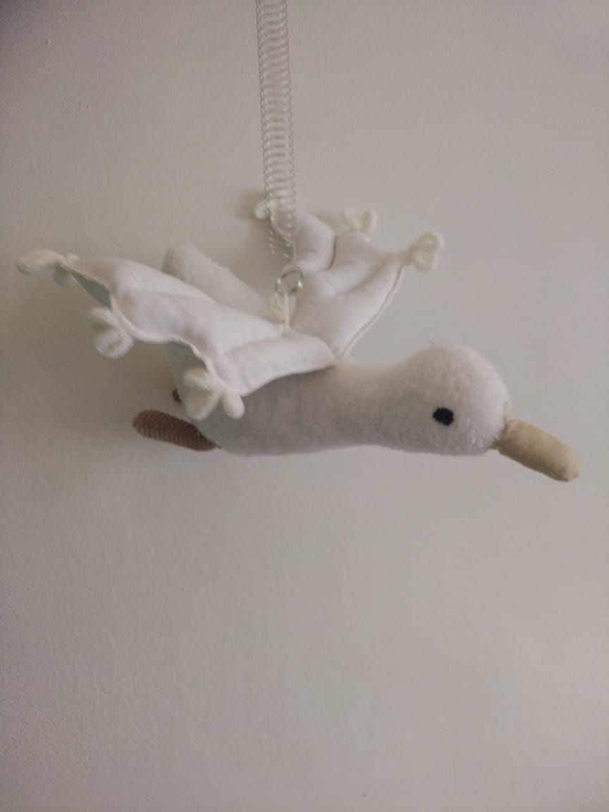 Jiggly Joe spring Goose