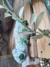 Load image into Gallery viewer, Chameleon
