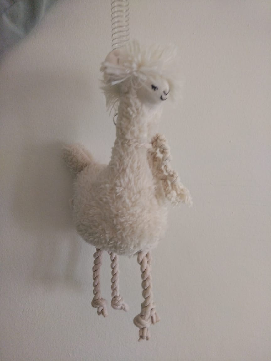 Jiggly Joes Spring Llama